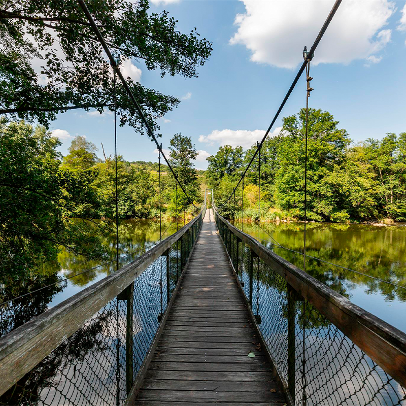 Adventure in Podyjí National Park