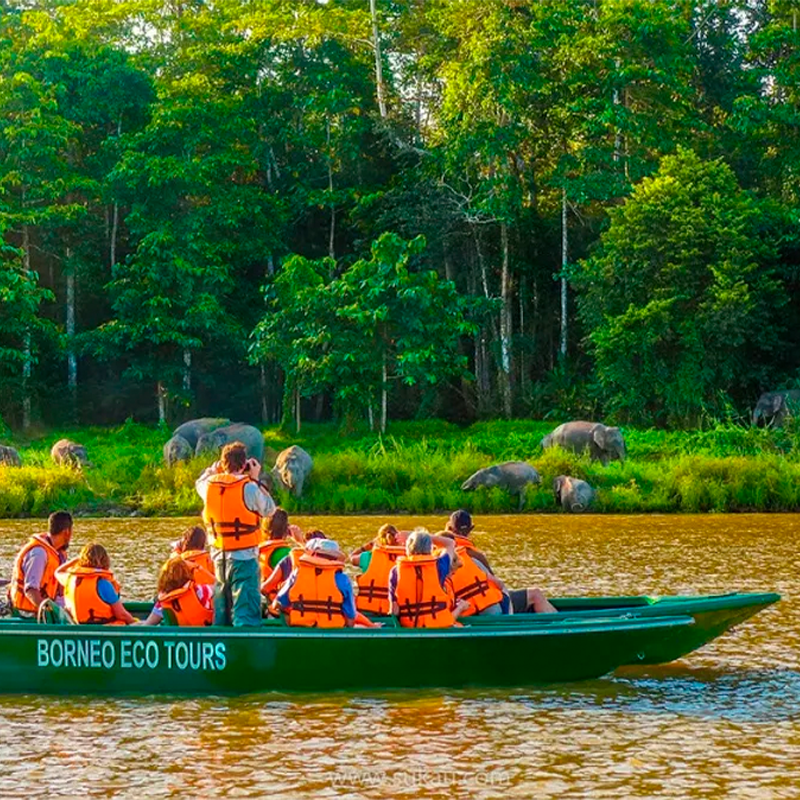 Ecotourism in Borneo