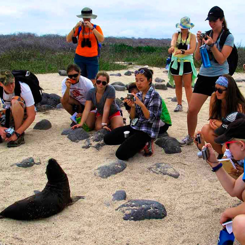 Ecotourism in the Galapagos Islands